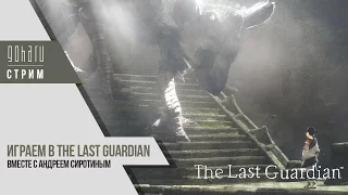 The Last Guardian Последний Хранитель. Прохождение 3/4 часть