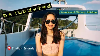 Dive, eat, sleep, repeat for 4 days, onboard｜泰国普吉斯米兰船宿潜水全记录～Similan Islands Liveaboard Vlog