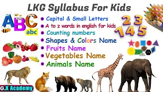 Preschool Complete Course | Learn ABCs | Shapes | Colors | 123 Counting Numbers | Animals Names