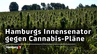 Cannabis-Legalisierung: Andy Grote ist dagegen