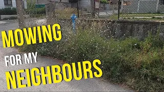 Helping a NEIGHBOUR with the OVERGROWN sidewalks | Another one comes and offers a hand