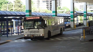 Bee Line: Orion V #623 on the Route 13