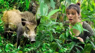 Detect Wild Boar Herds And Set Traps - Make Cakes From Wild Banana Tree Stump.