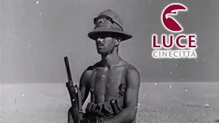 Battaglia di El Alamein: soldati italiani attaccano il nemico (1942)