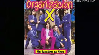 Organizacion X - megamiX