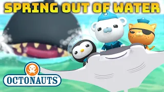​@Octonauts - 🌼 SPRING out of Water! 💦 | Compilation | @OctonautsandFriends