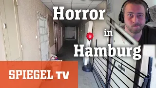 REAKTION auf: Horror-Haus in Hamburg: Leben zwischen Schimmel und Dreck | PROPANI94