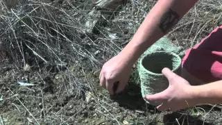 Gathering Natural Materials With a Pine Needle Basket