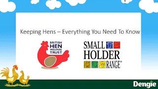 Keeping Hens - Everything You Need to Know