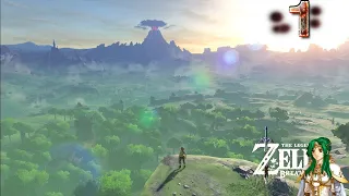 Zelda Breath of the Wild Gameplay Walkthrough Part 1 [1080P 60FPS] - No Commentary (FULL GAME)