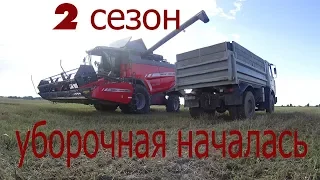 Первый выезд на уборку яровой пшеницы  Комбайн MASSEY FERGUSON 7345 S