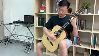 天空之城 君をのせて by Joe Hisaishi (arr. Steven Law) played by Wilson Fu