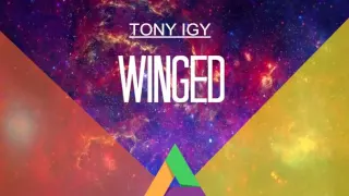 Tony Igy - Winged