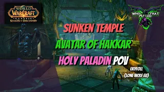 Avatar of Hakkar - Sunken Temple - Holy Paladin POV - WoW Classic - Season of Discovery - phase 3
