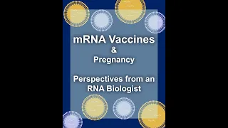 mRNA Vaccines & Pregnancy