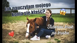 Jak nauczyłam mojego konia kłaść się? Mój sposób w 3 krokach 😱 | Sztuczka leżenie