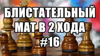 Шахматные задачи мат в 2 хода. Выпуск №16. Решение шахматных задач. Шахматы. Шахматные заметки.