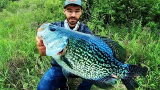 The BIGGEST CRAPPIE EVER CAUGHT on VIDEO?!