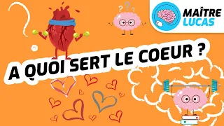 À quoi sert le cœur ? CM2 CE1 CE2 CM1 CP — Muscle ton cerveau