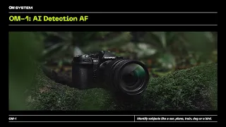 OM-1: AI Detection AF