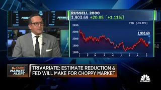 Earnings numbers will slow with a lag effect, says Trivariate CEO