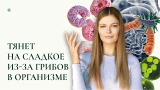 Влияние фруктов и сахара на организм