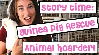 StoryTime: Guinea Pig Rescue Story | Animal Hoarder!