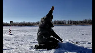 КРУПНАЯ ПЛОТВА ,ОКУНЬ, ЛЕЩ НА БЕЗМОТЫЛКУ!! Рыбалка на Оби в отличной компании часть 1.