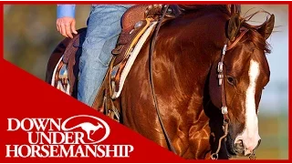 Clinton Anderson: Square Pen Control, Part 1 - Downunder Horsemanship