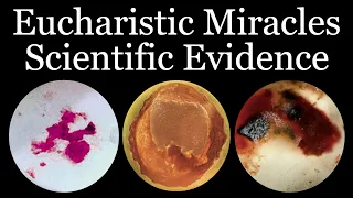 Scientific Evidence of Eucharistic Miracles - Inspired By Carlo Acutis