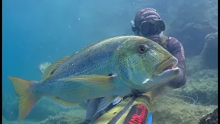 Spearfishing Croatia - "In The Land Of The Dentex" by Max