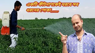 একটা ওষুধেই মরবে সব ধরনের কীট || Best World Class Powerful Insecticide,,,