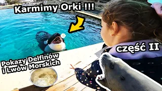 Orka Wyskoczyła dla nas z WODY !!! - Karmimy ORKĘ w Marineland - Antibes * Część 2, delfiny (656)