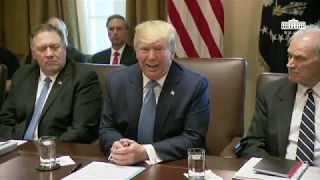 President Trump Participates in a Cabinet Meeting