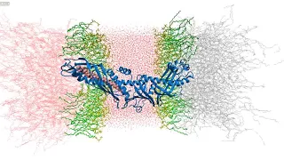 Tunnel Mechanism of CETP by All-atom MD Simulations