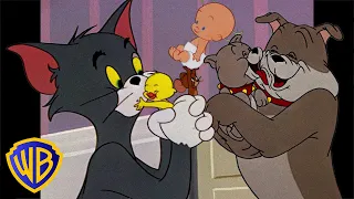 Tom y Jerry en Latino | ¡En familia |  @WBKidsLatino