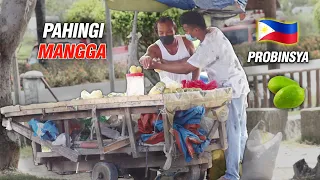 HINGI MANGGA (SA PROBINSYA) PULUBI | SOCIAL EXPERIMENT 🇵🇭