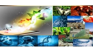 Палеонтологический крах теории эволюции (ПОЛНАЯ ВЕРСИЯ)