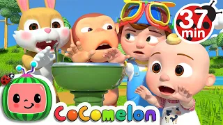 Wait Your Turn + More Nursery Rhymes & Kids Songs - CoComelon