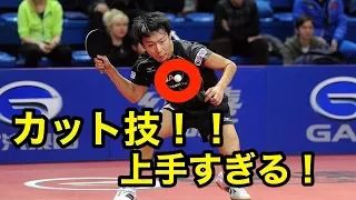 【卓球】日本の天才カットマン！塩野真人の世界が驚愕したプレイ集！【衝撃】Japanese genius cut man!【table tennis】