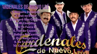 Cardenales De Nuevo León-Music hits review for 2024-Prime Hits Mix-Even