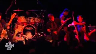 Strung Out - Analog (Live in Sydney) | Moshcam