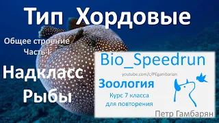 16. Рыбы часть I (Speedrun зоология 7 класс, ЕГЭ, ОГЭ 2021)