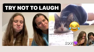 TRY NOT TO LAUGH CHALLENGE🤣🤞🏼| LOVI💜