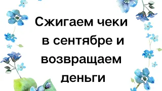 Сжигаем чеки в сентябре и возвращаем деньги. Только три дня.