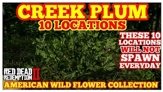 CREEK PLUM 10 Locations American Wild Flower Collection Red Dead Online