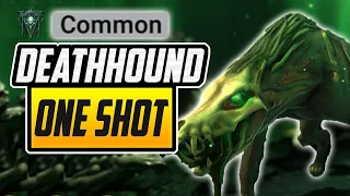 Death Hound the COMMON champion - 100% ignore defence + UNM CLAN BOSS!? | RAID SHADOW LEGENDS