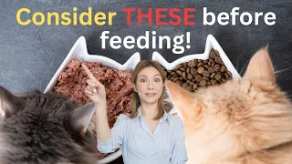 The Best Food For Your Cat: Expert Advice On Nutrition