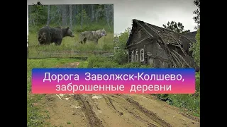 Забытые деревни России,Ивановская об, Дорога Заволжск - Колшево