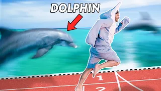 Olympic Runner vs a DOLPHIN! (Who's Faster?)